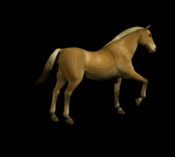 6408782.gif