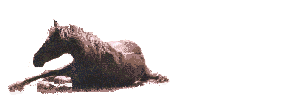 6408793.gif